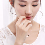 Fish Pisces Zodiac Constellations Open Tail Rings