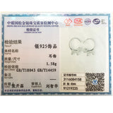 Cute Lucky Cat Pierced Hook Earrings Kitty